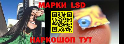 амф Сланцы