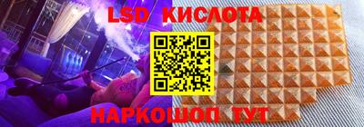 амф Сланцы