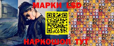 амф Сланцы