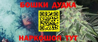 амф Сланцы