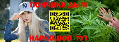 амф Сланцы