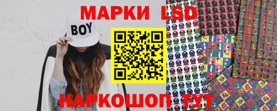 амф Сланцы
