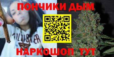 амф Сланцы