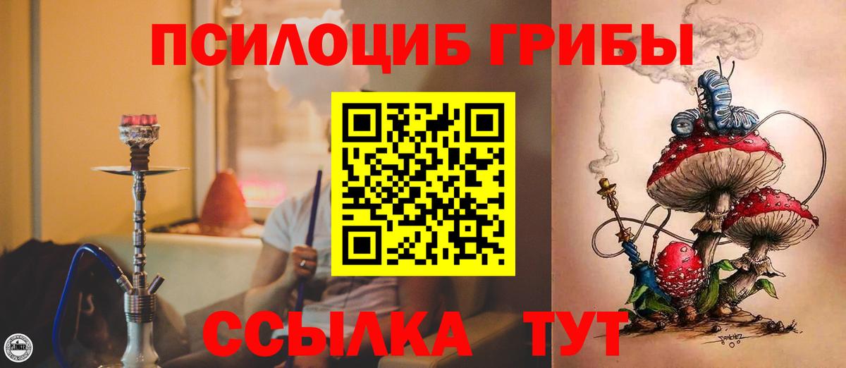Галлюциногенные грибы мицелий Норильск